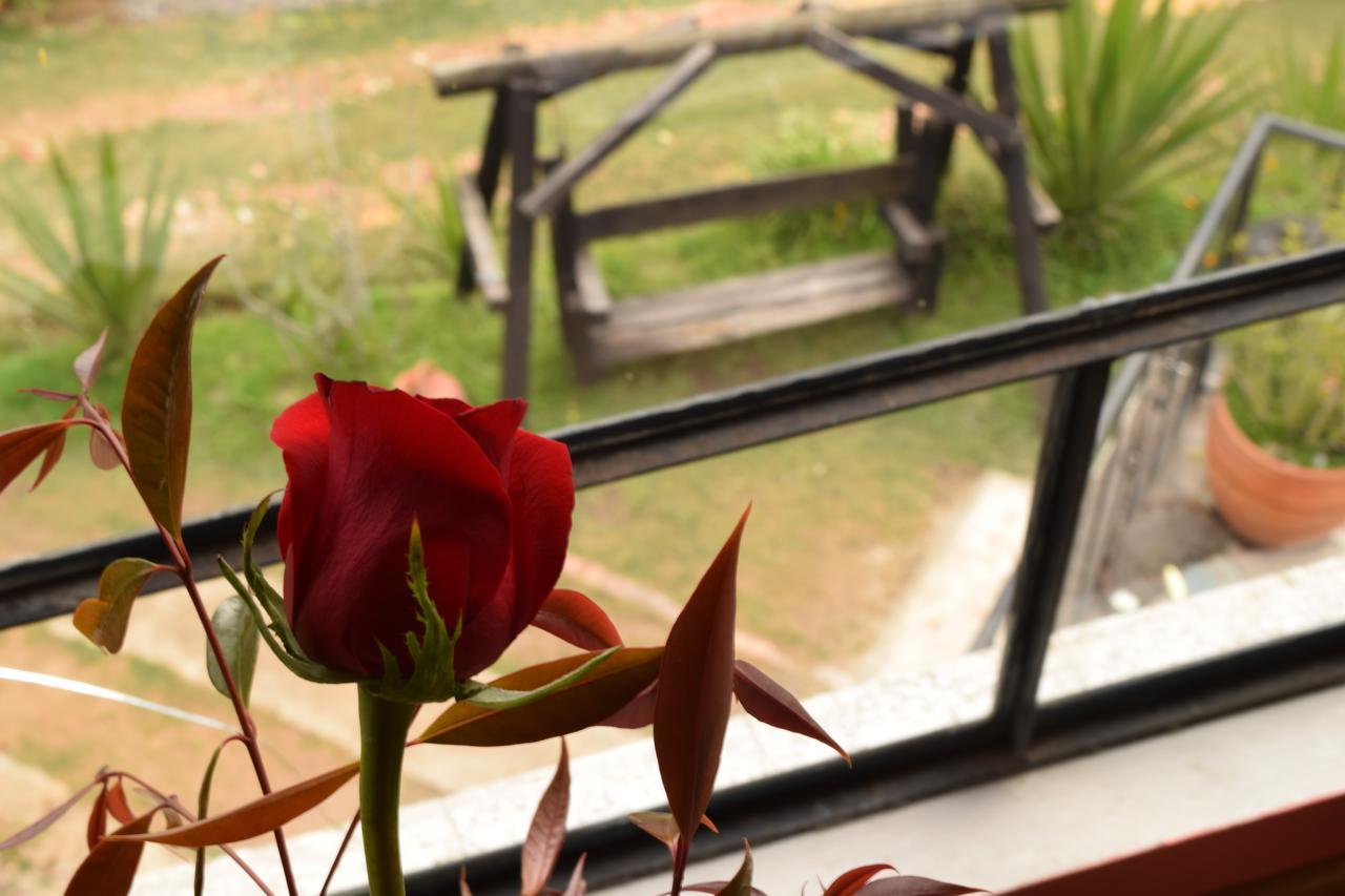 El Pedregal Sopo Bed & Breakfast ภายนอก รูปภาพ