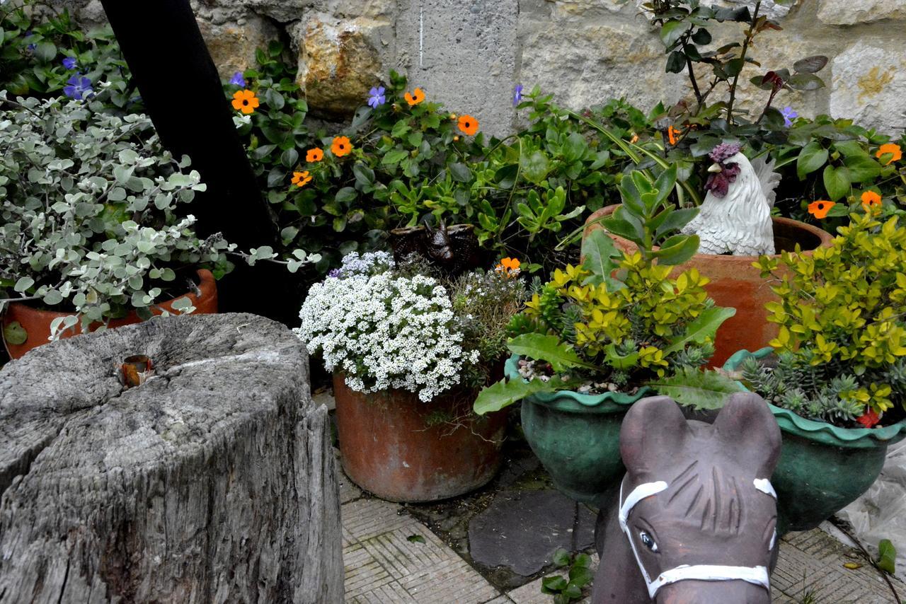 El Pedregal Sopo Bed & Breakfast ภายนอก รูปภาพ