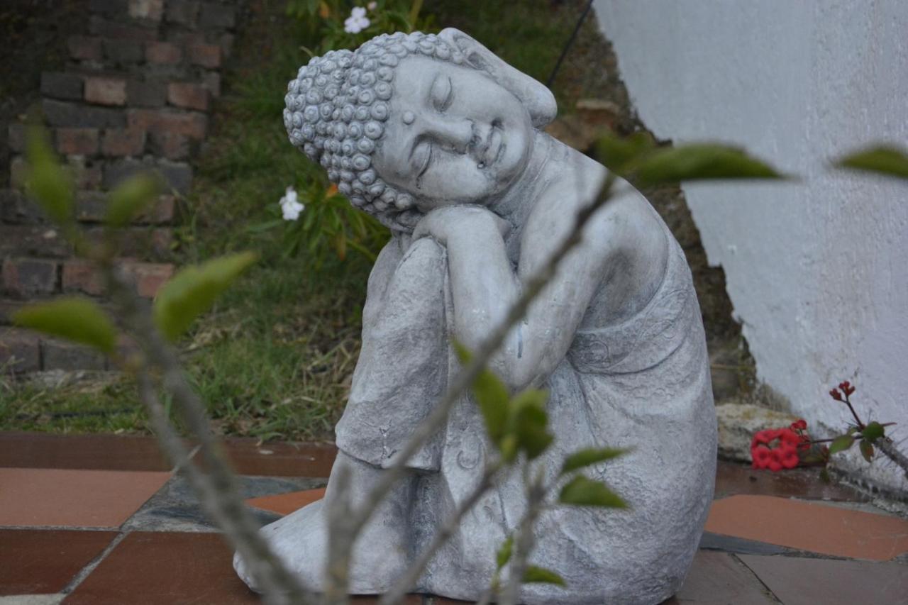 El Pedregal Sopo Bed & Breakfast ภายนอก รูปภาพ